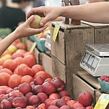 Οι Ευρωπαίοι παραγωγοί προειδοποιούν για κρίση στις προμήθειες τροφίμων – «Κανείς δεν ξέρει τι θα συμβεί το 2023»