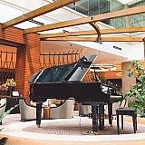 Οι πιο παράξενες κλοπές στα ξενοδοχεία: Από grand piano και ντουζιέρες μέχρι έναν ολόκληρο νεροχύτη!