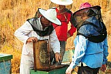 Διεθνές Συμπόσιο Μελισσοκομίας στις Κυκλάδες