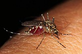 Συναγερμός στο υπουργείο Υγείας για μολυσματικούς ιούς από κουνούπια