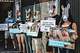Διεθνής κατακραυγή για την τουριστική εκμετάλλευση των γαϊδουριών στη Σαντορίνη