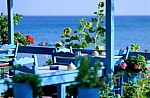 H "Χαβάη" της Ελλάδας: Δείτε την ονειρική παραλία με τα γαλάζια νερά και την κατάλευκη άμμο!