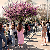 Βέλγοι φοιτητές εκπαιδεύονται στον σχεδιασμό τουριστικών προϊόντων στη Θεσσαλονίκη
