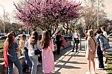 Βέλγοι φοιτητές εκπαιδεύονται στον σχεδιασμό τουριστικών προϊόντων στη Θεσσαλονίκη